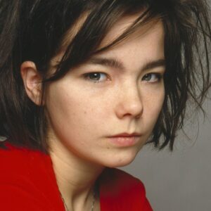 تصویر هنرمند Björk