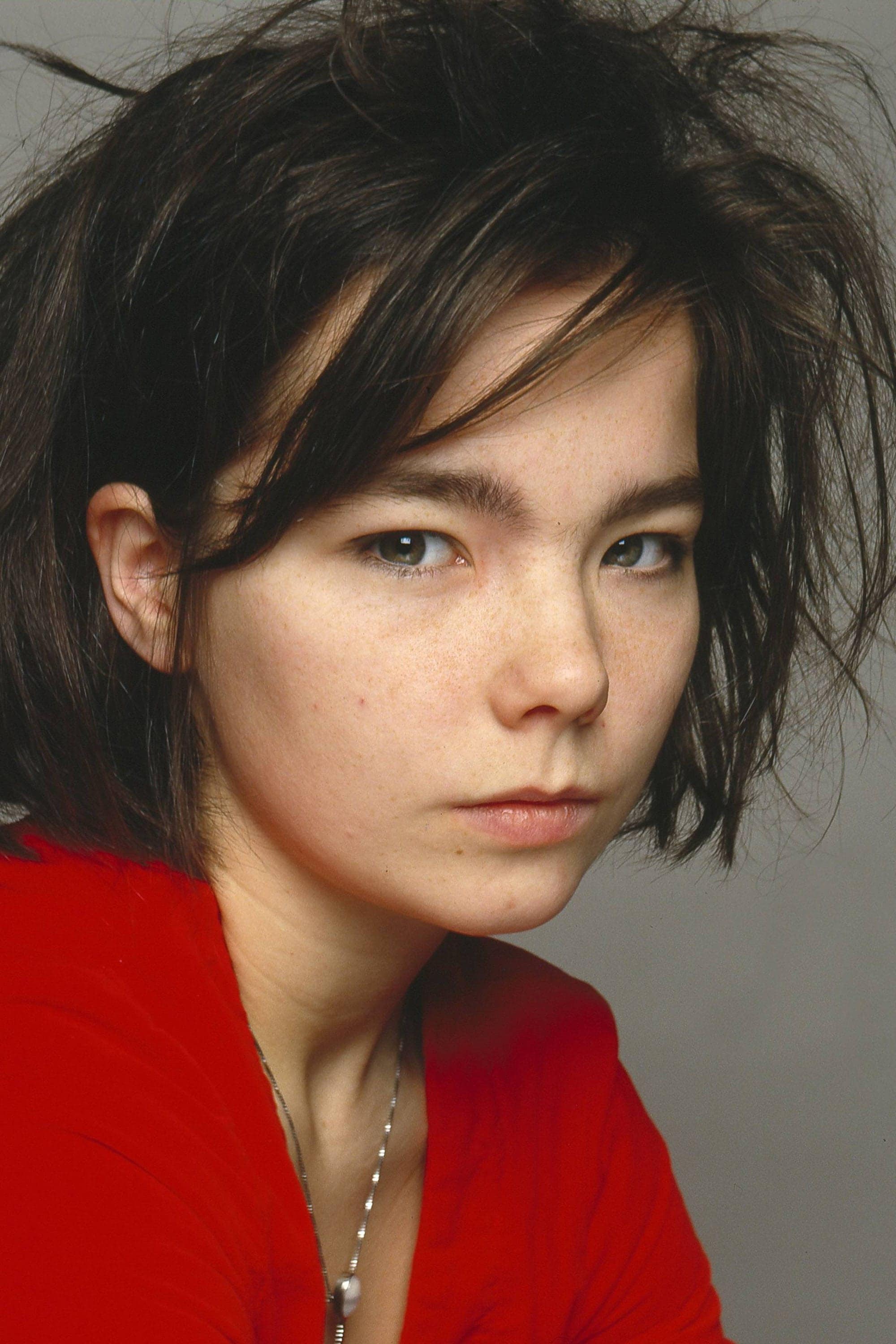 تصویر هنرمند Björk