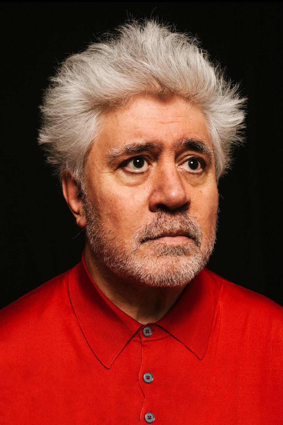 تصویر هنرمند Pedro Almodóvar