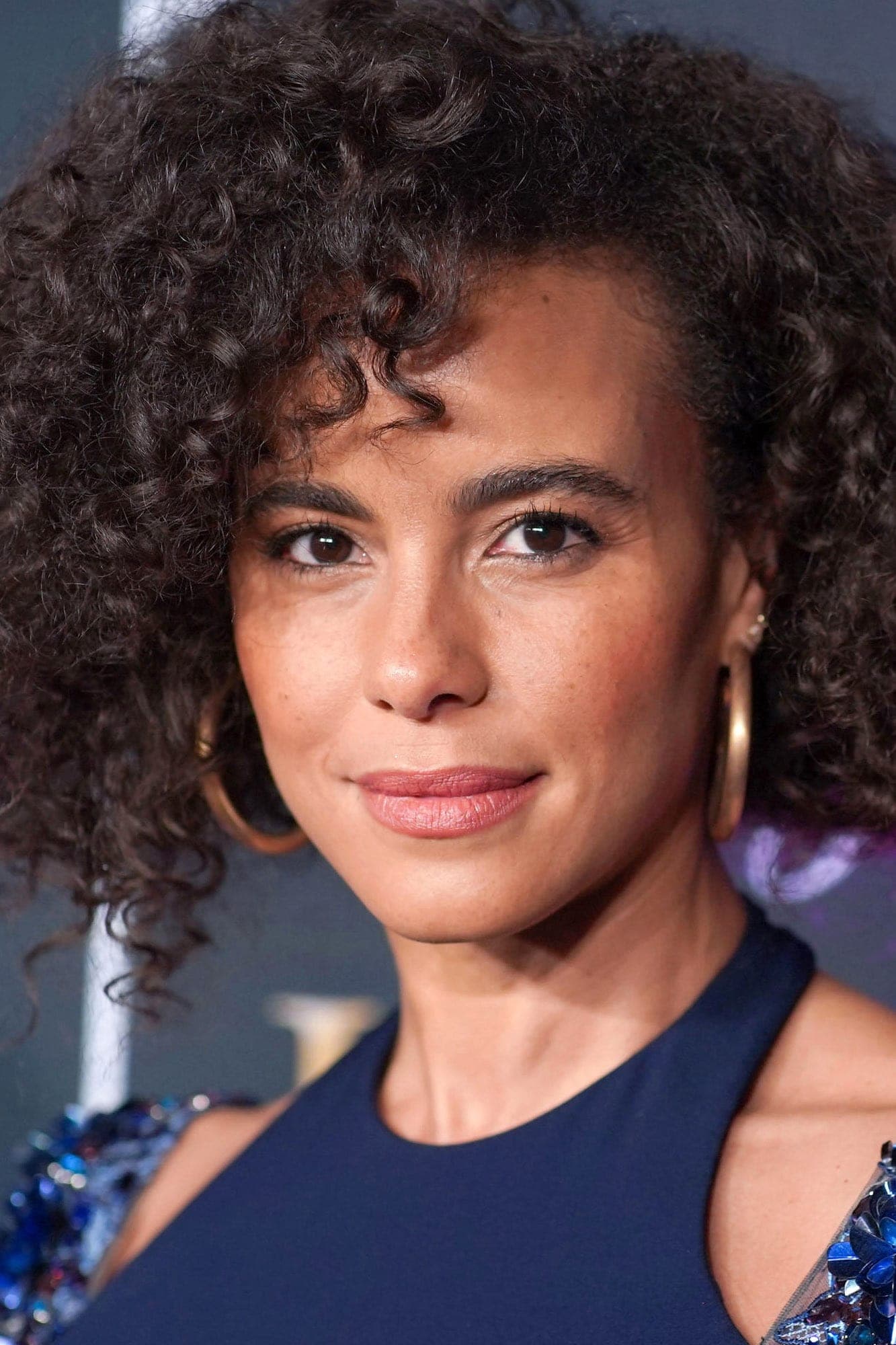 تصویر هنرمند Parisa Fitz-Henley