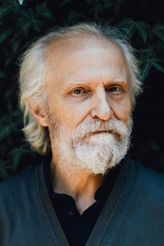 تصویر هنرمند David Patrick Kelly