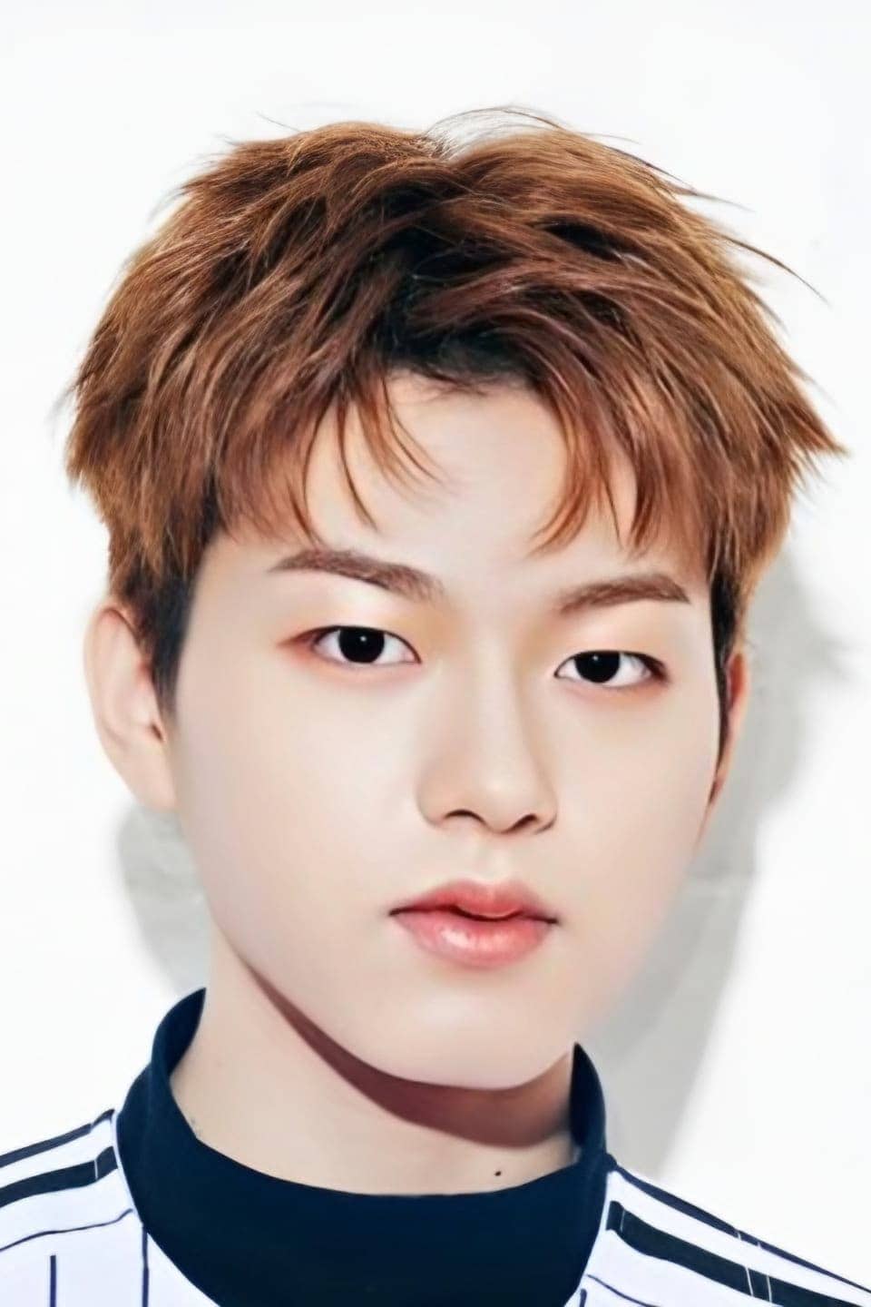 تصویر هنرمند Lee Jin-woo