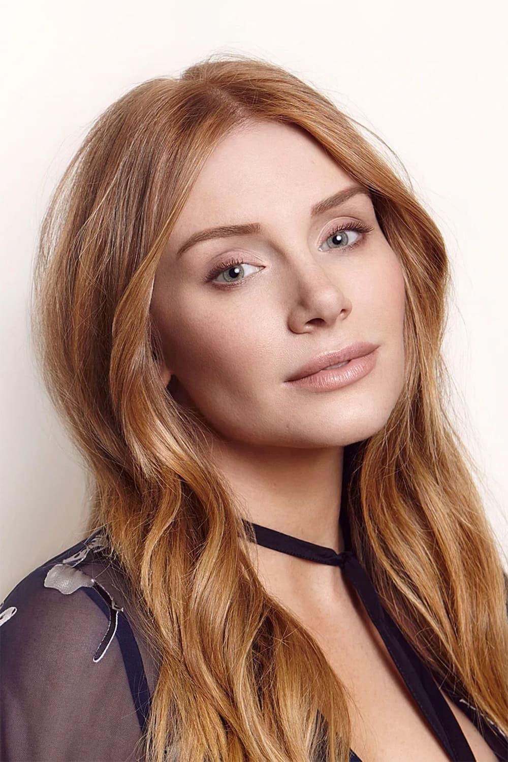 تصویر هنرمند Bryce Dallas Howard