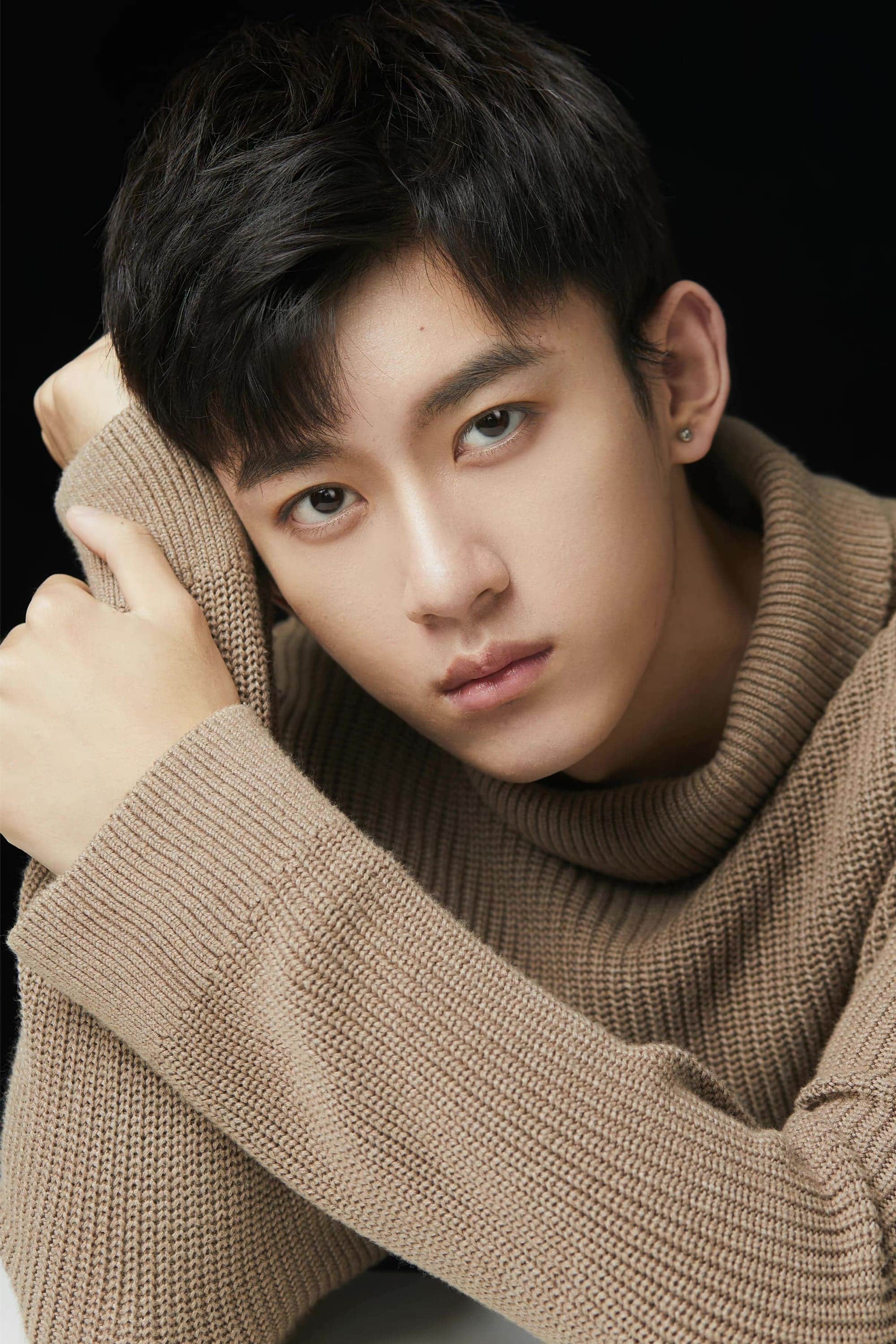 تصویر هنرمند Hongxin Cheng
