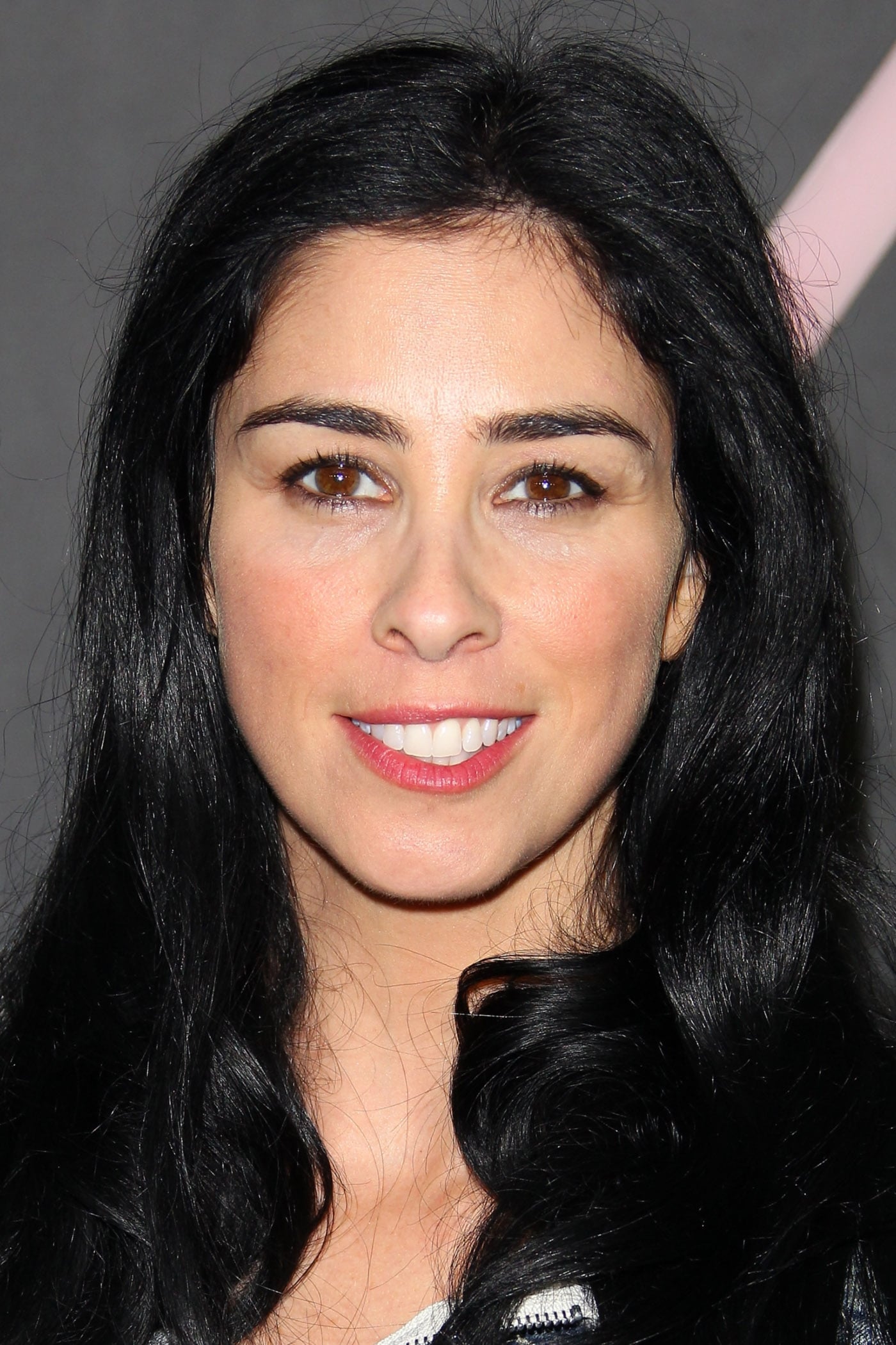 تصویر هنرمند Sarah Silverman