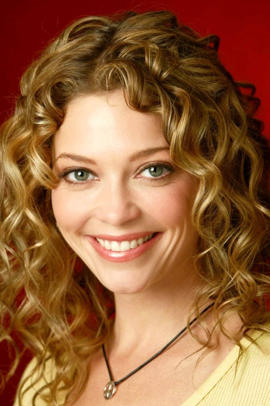 تصویر هنرمند Amanda Detmer