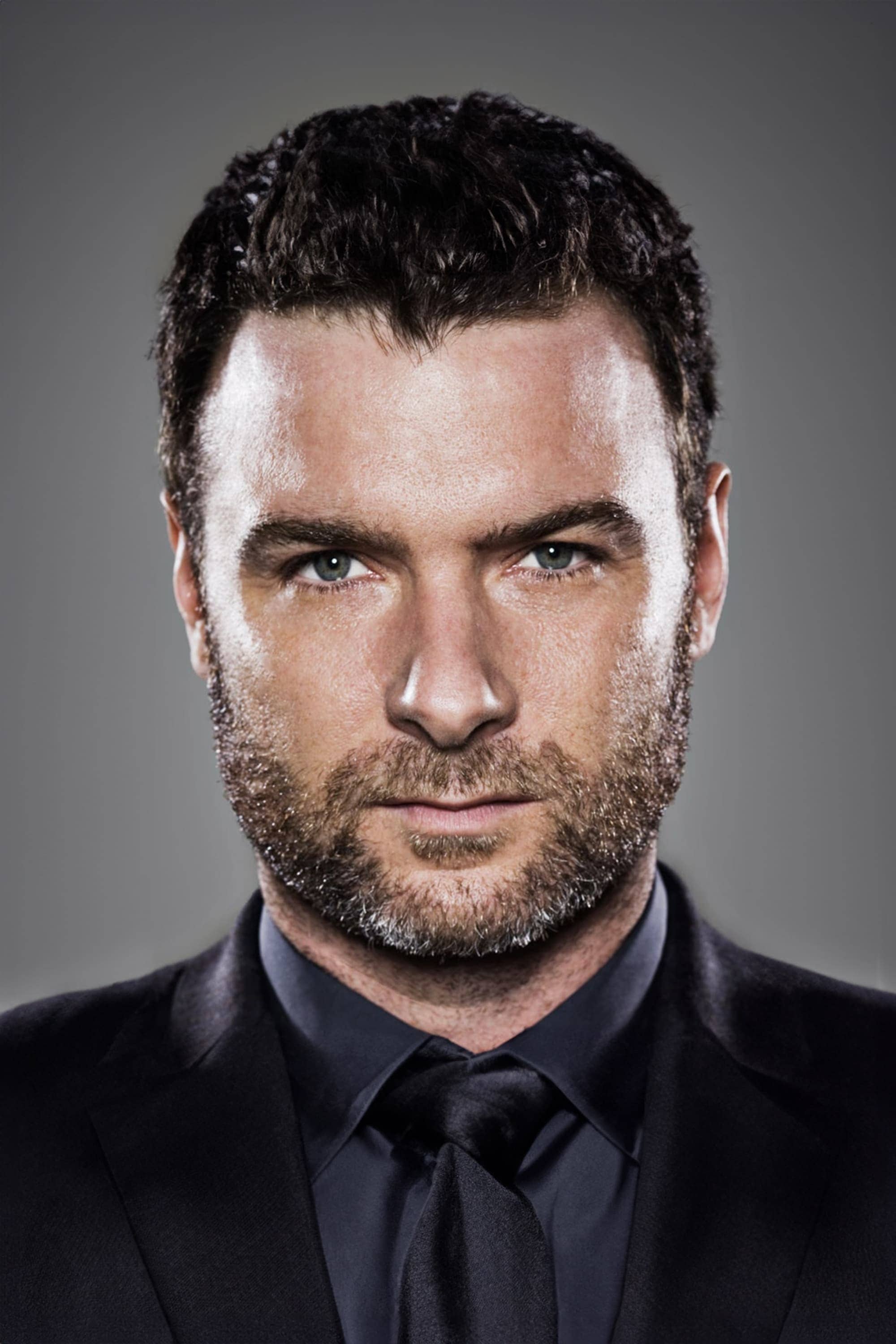 تصویر هنرمند Liev Schreiber