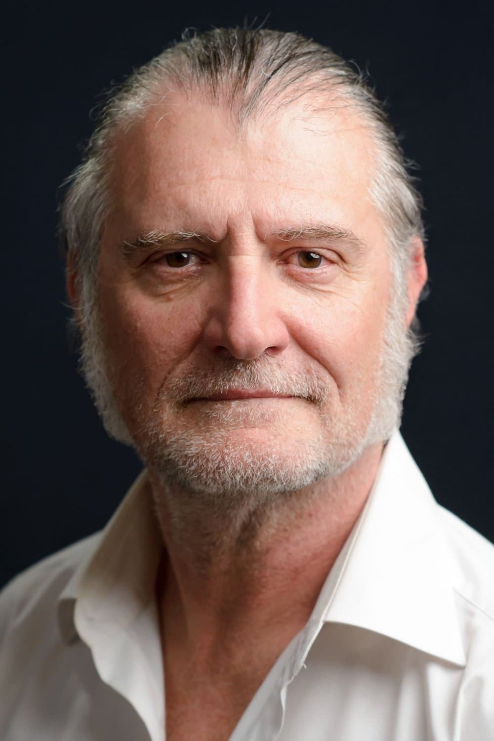 تصویر هنرمند Miodrag Stojanović
