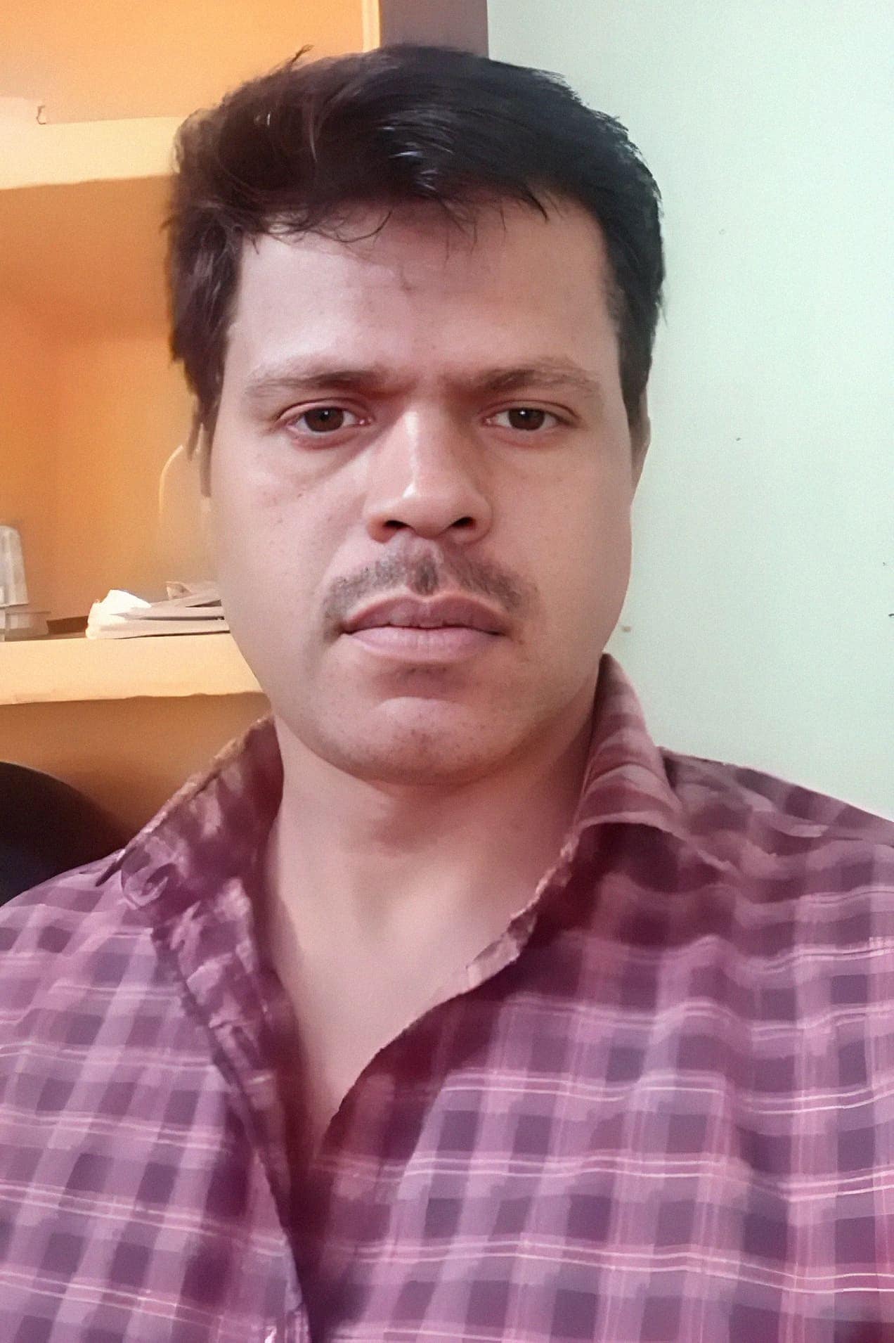 تصویر هنرمند Ayyappan Subramani