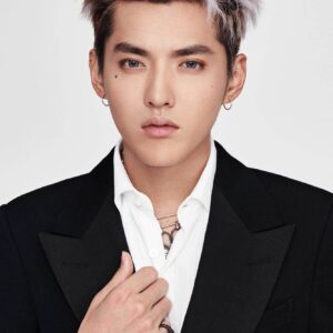 تصویر هنرمند Kris Wu