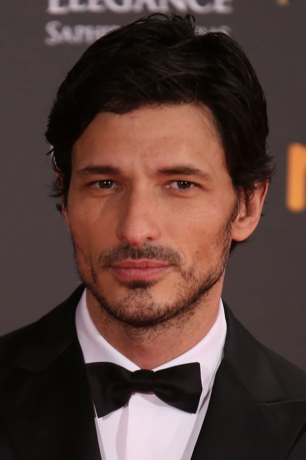 تصویر هنرمند Andrés Velencoso