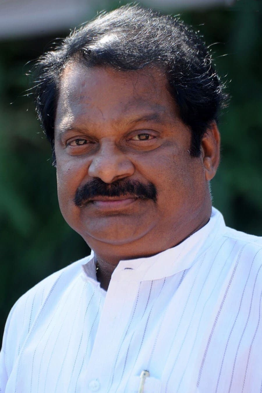 تصویر هنرمند Dharmavarupu Subramanyam