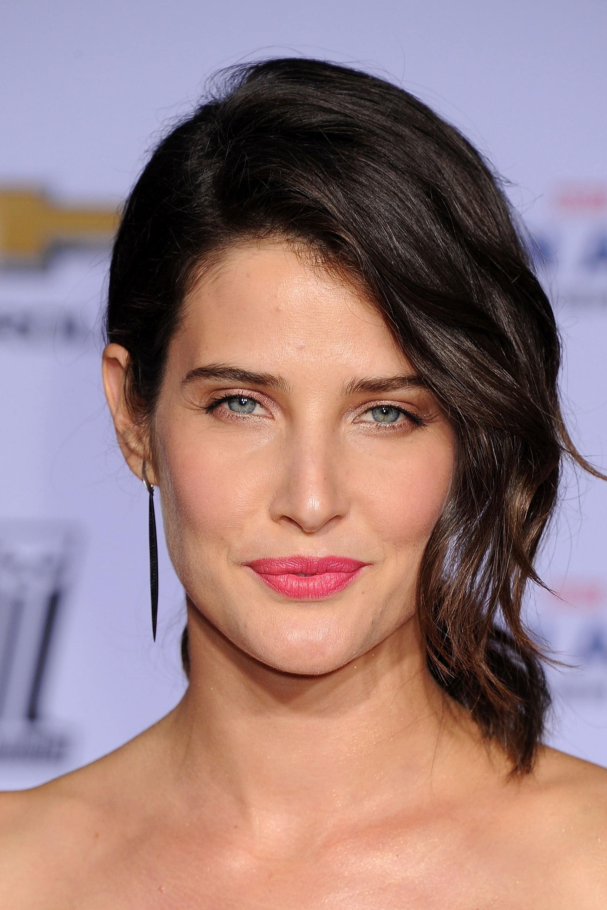 تصویر هنرمند Cobie Smulders
