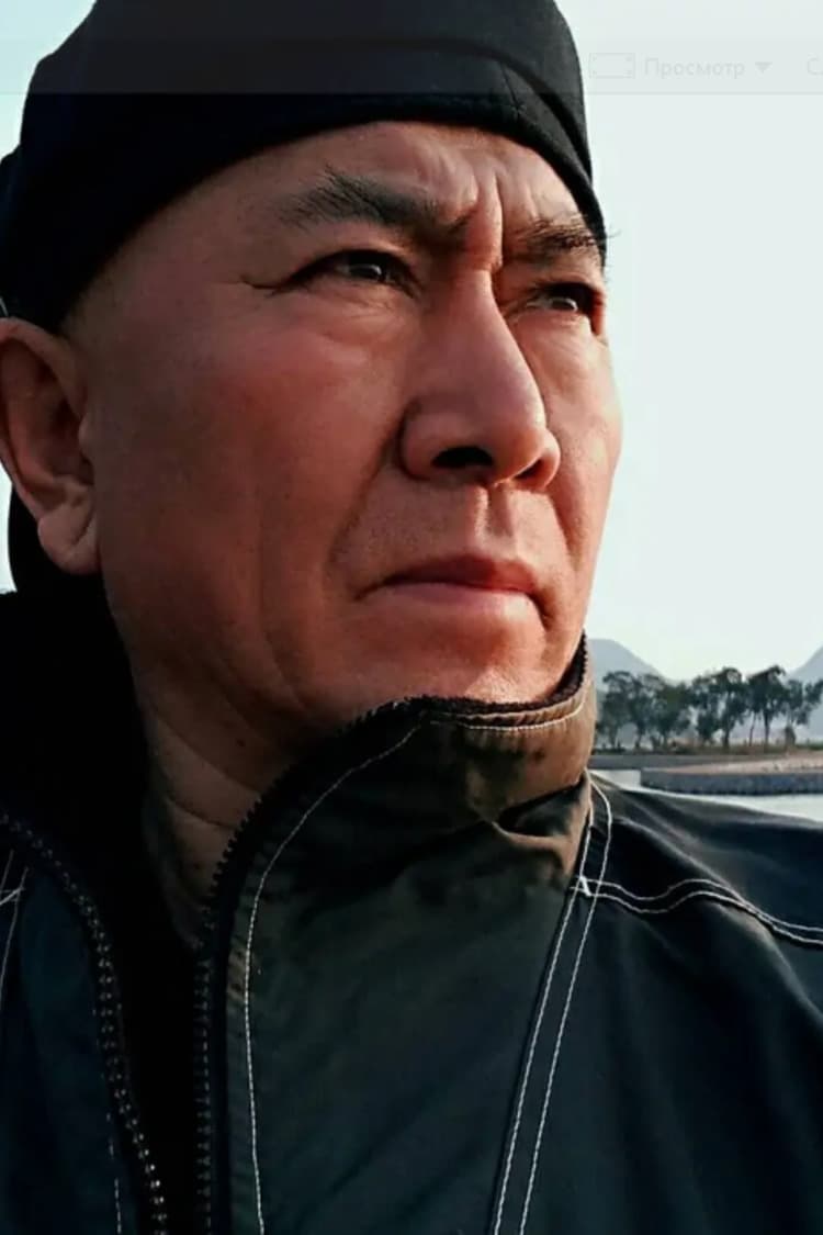 تصویر هنرمند Li Zhenqi