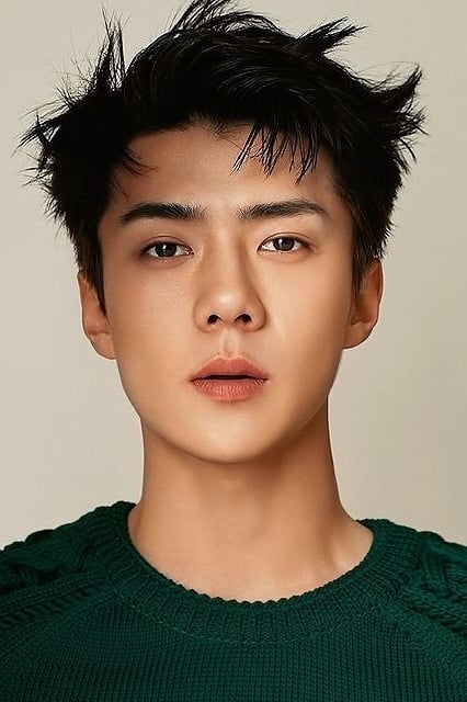تصویر هنرمند Sehun