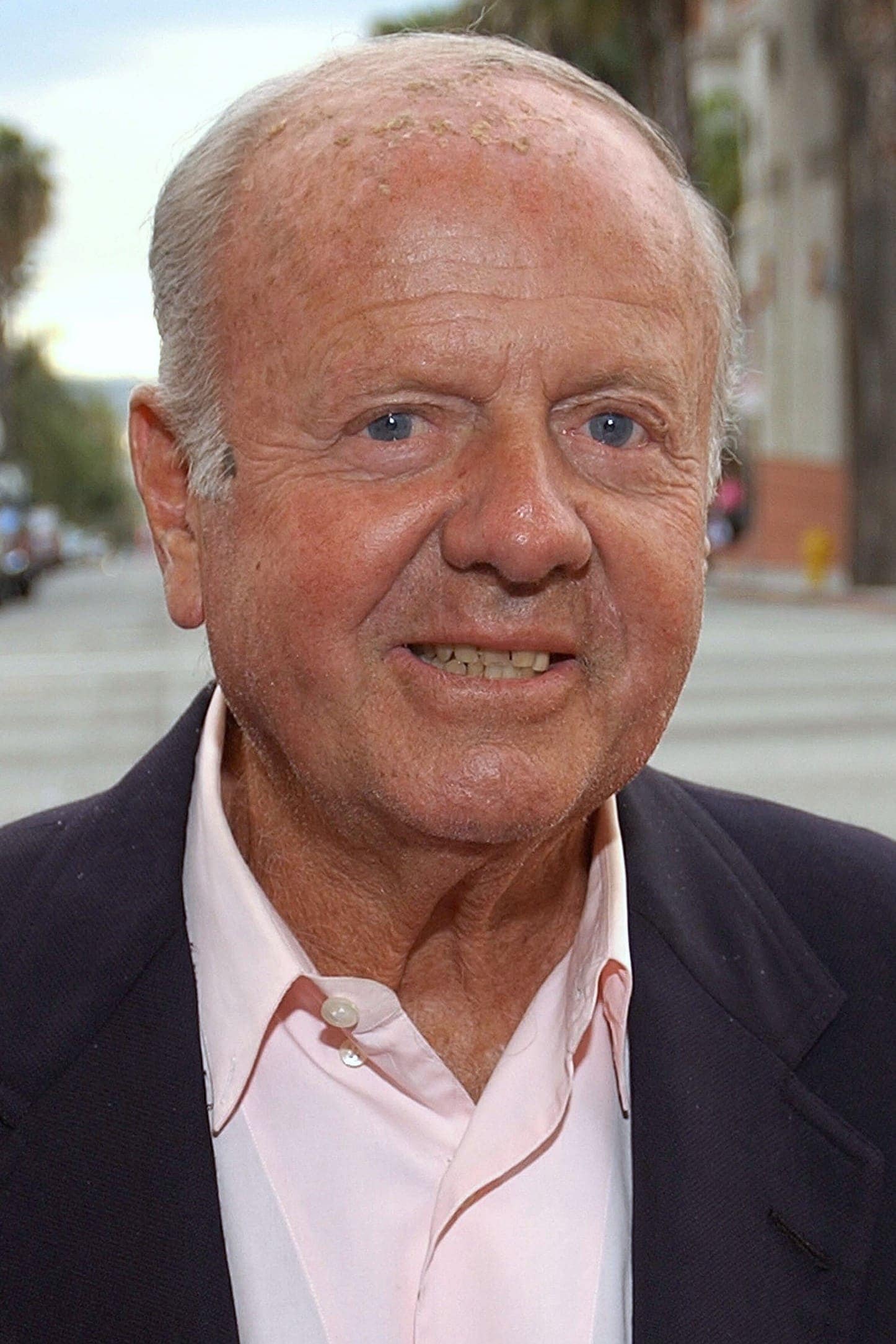 تصویر هنرمند Dick Van Patten
