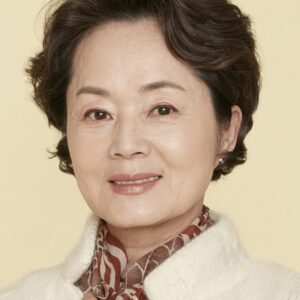 تصویر هنرمند Kim Yeong-ae