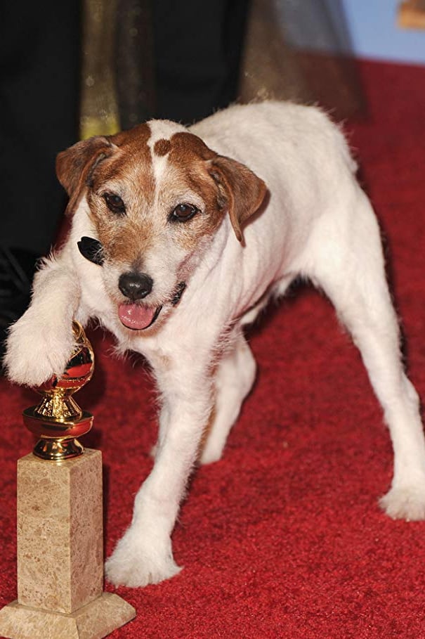 تصویر هنرمند Uggie