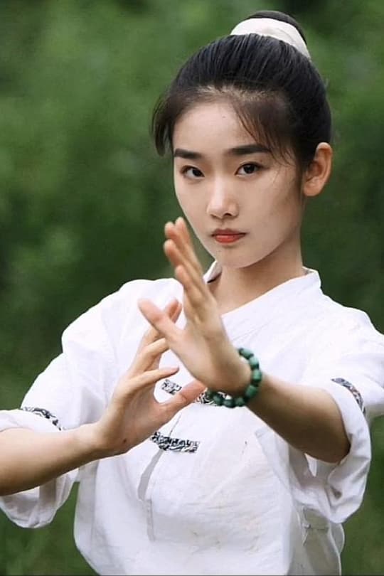 تصویر هنرمند Qi Tianqing
