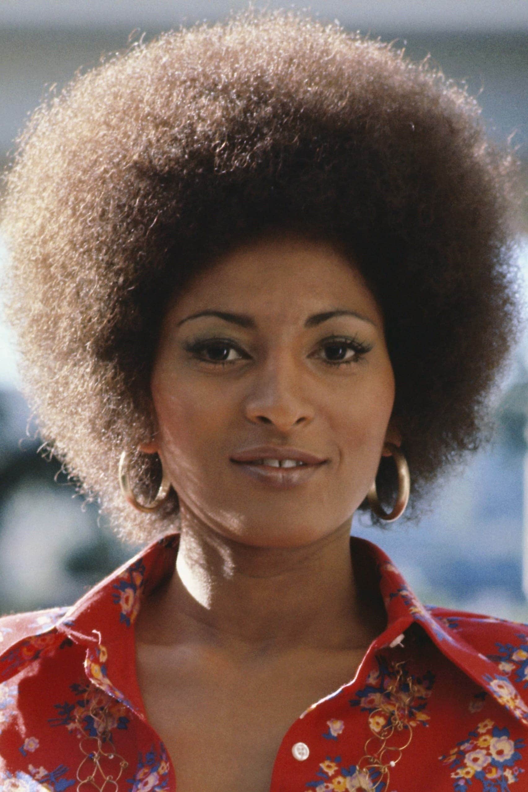 تصویر هنرمند Pam Grier