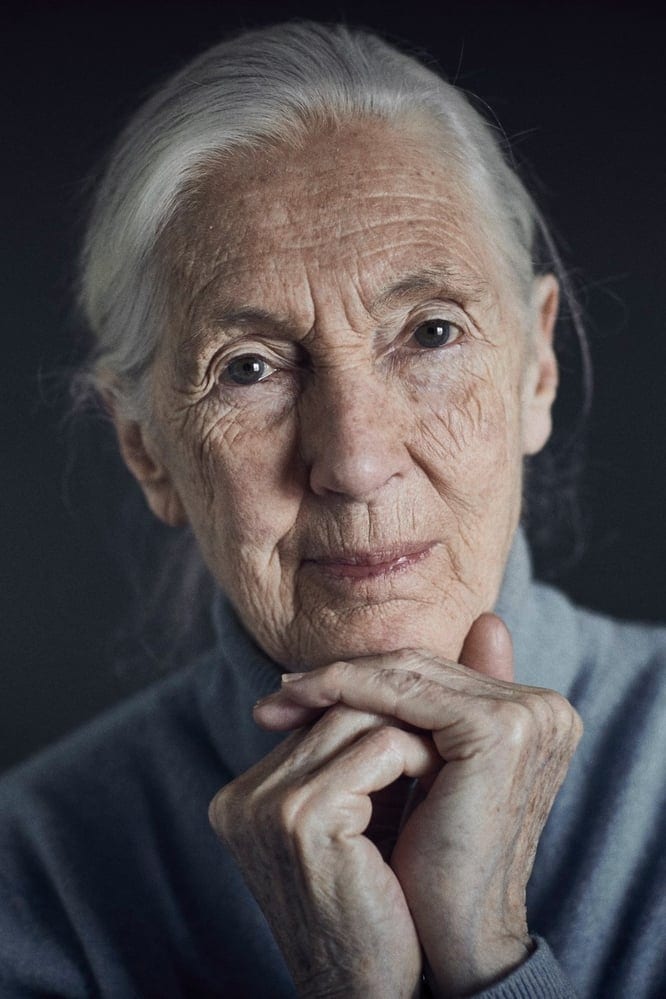 تصویر هنرمند Jane Goodall