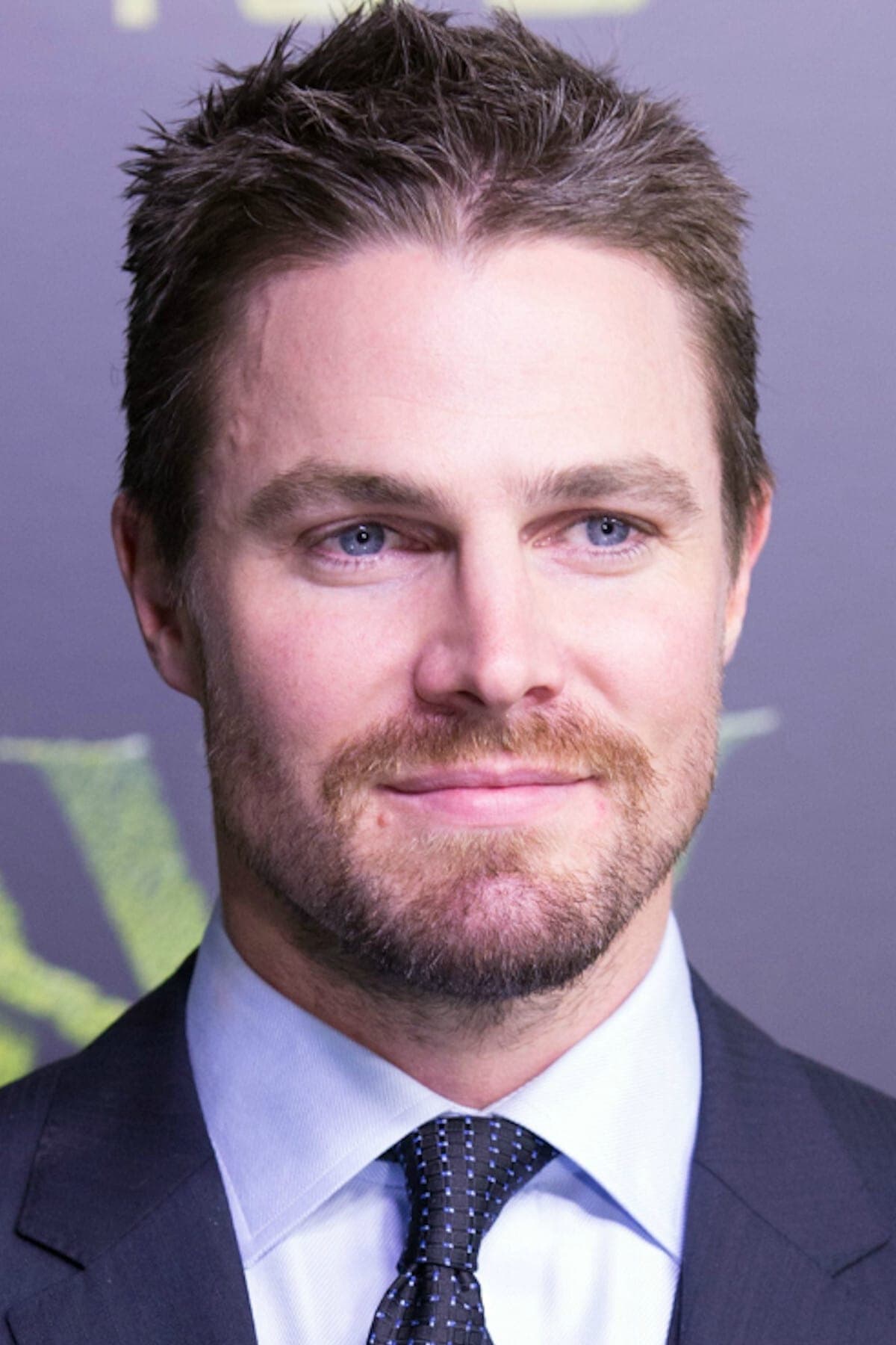 تصویر هنرمند Stephen Amell