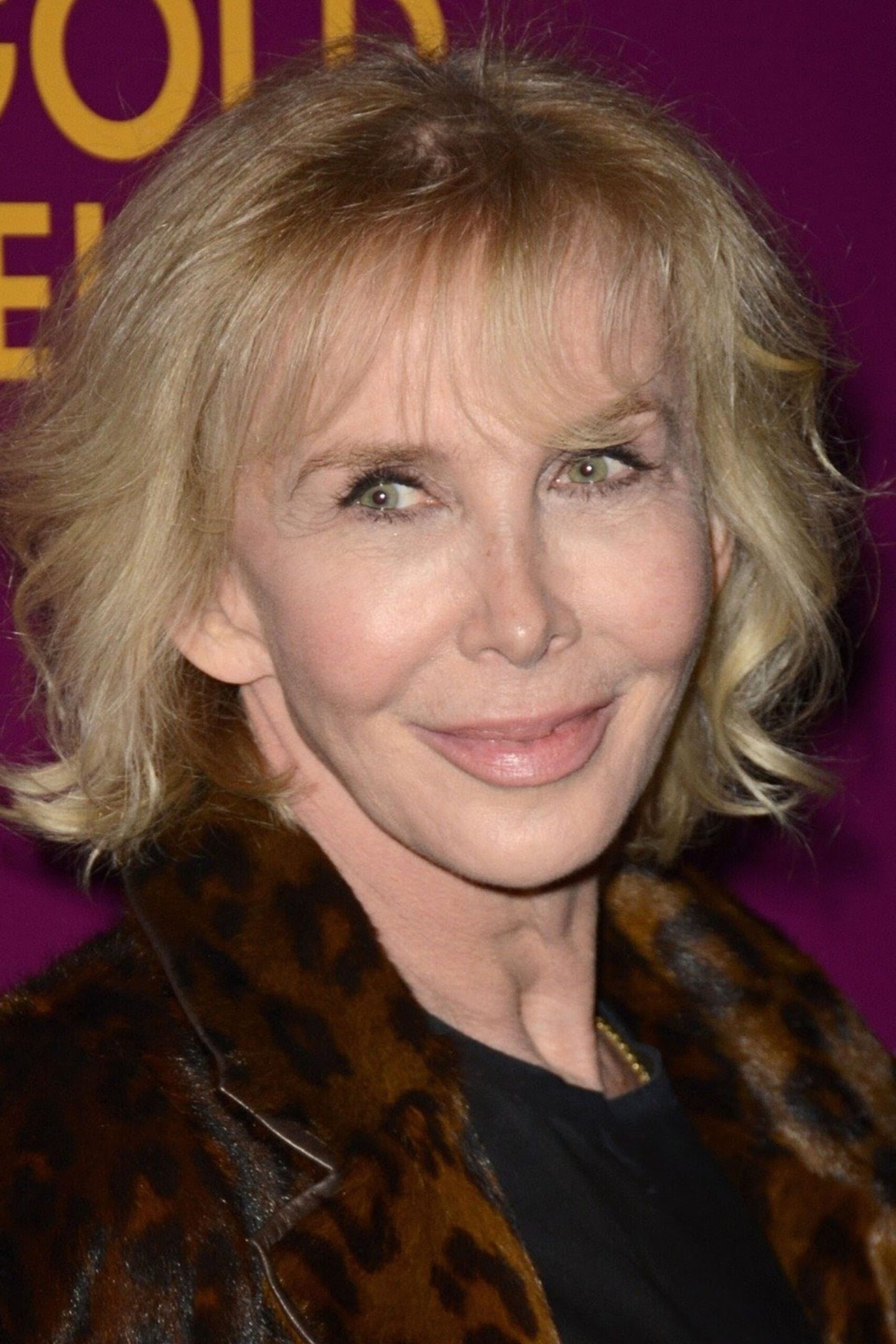 تصویر هنرمند Trudie Styler