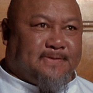 تصویر هنرمند Professor Toru Tanaka