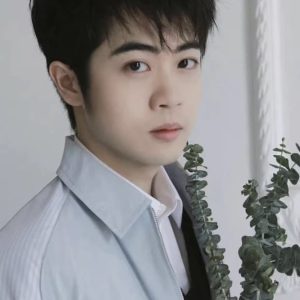 تصویر هنرمند Yang Tianxiang