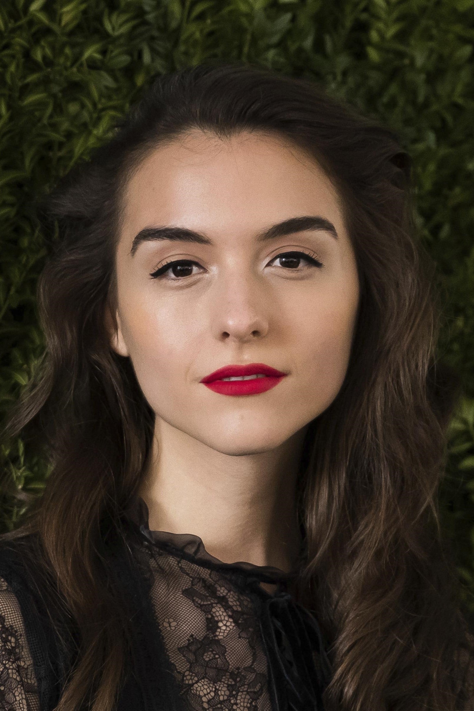 تصویر هنرمند Quinn Shephard