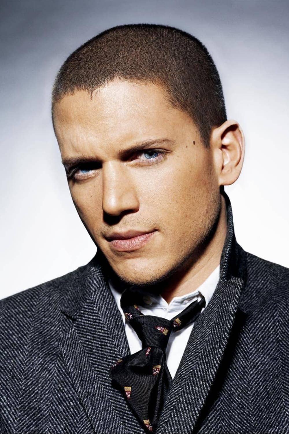 تصویر هنرمند Wentworth Miller