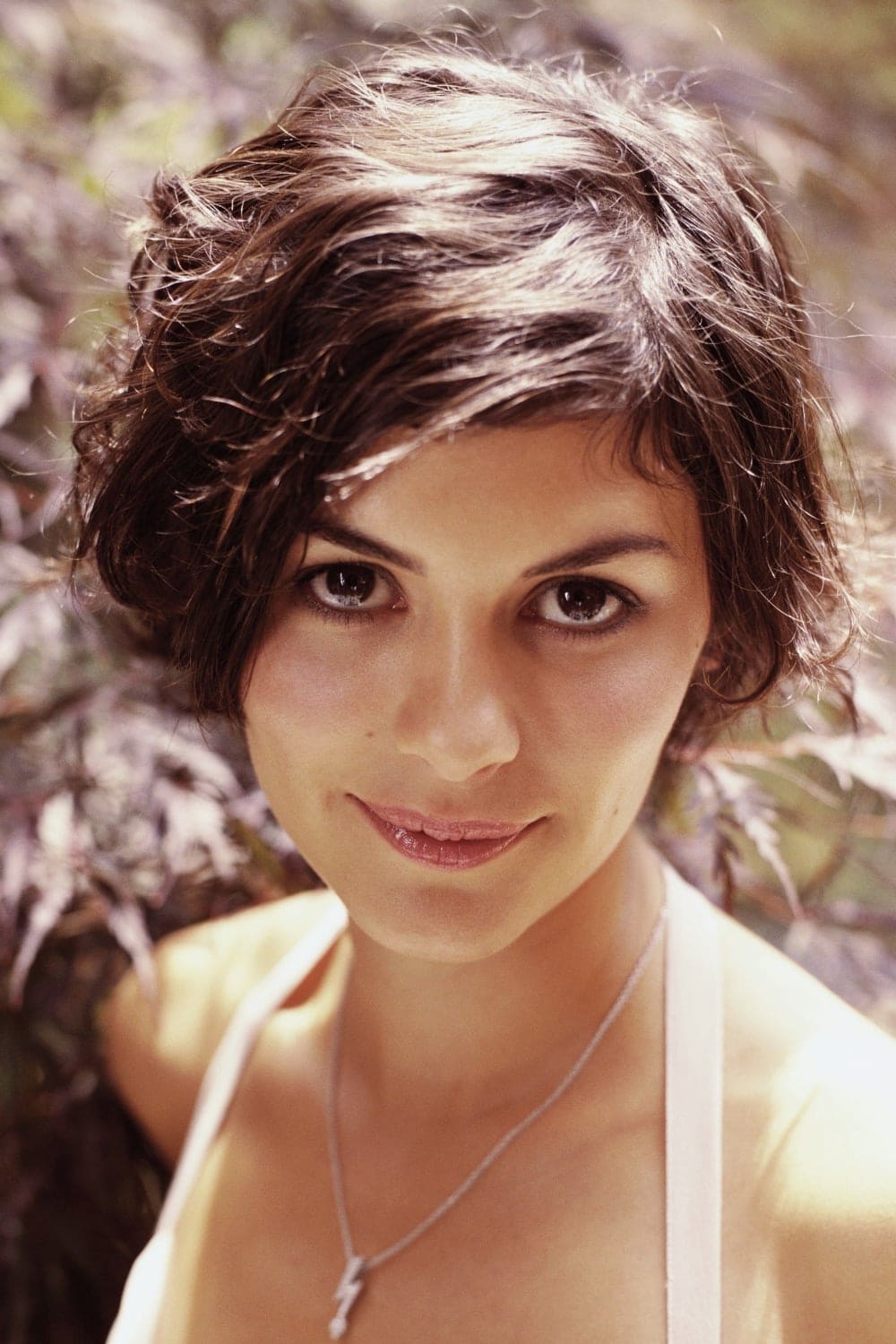 تصویر هنرمند Audrey Tautou