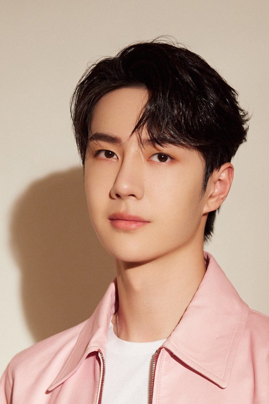 تصویر هنرمند Wang Yibo