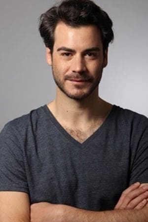 تصویر هنرمند Mariano Bertolini