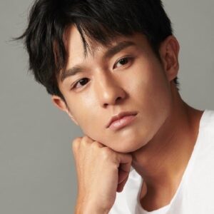 تصویر هنرمند Huang Li Feng