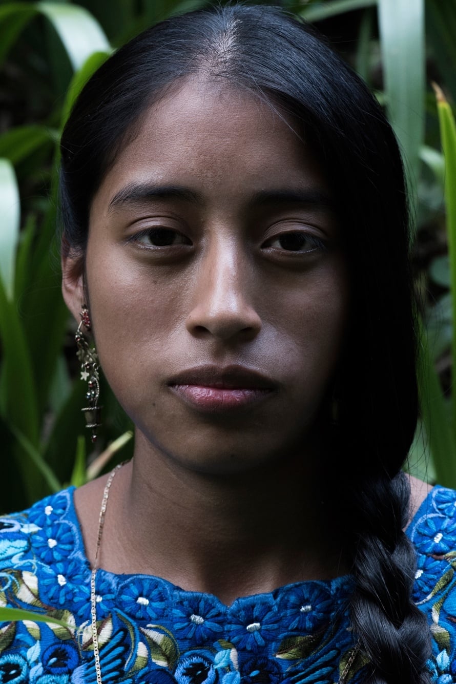 تصویر هنرمند María Mercedes Coroy