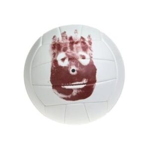 تصویر هنرمند Wilson the Volleyball