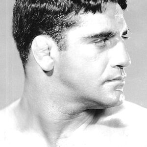 تصویر هنرمند Sammy Stein