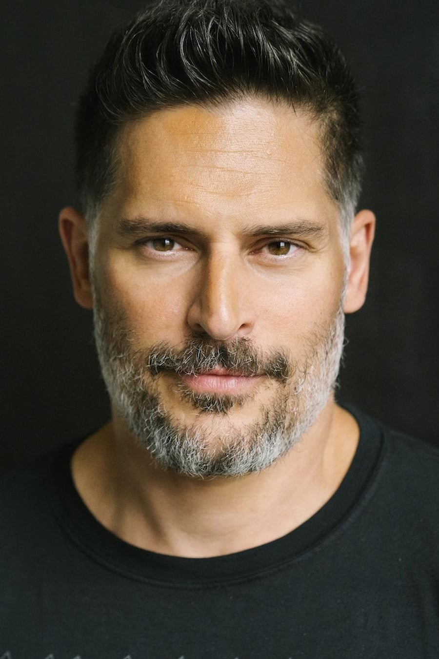 تصویر هنرمند Joe Manganiello