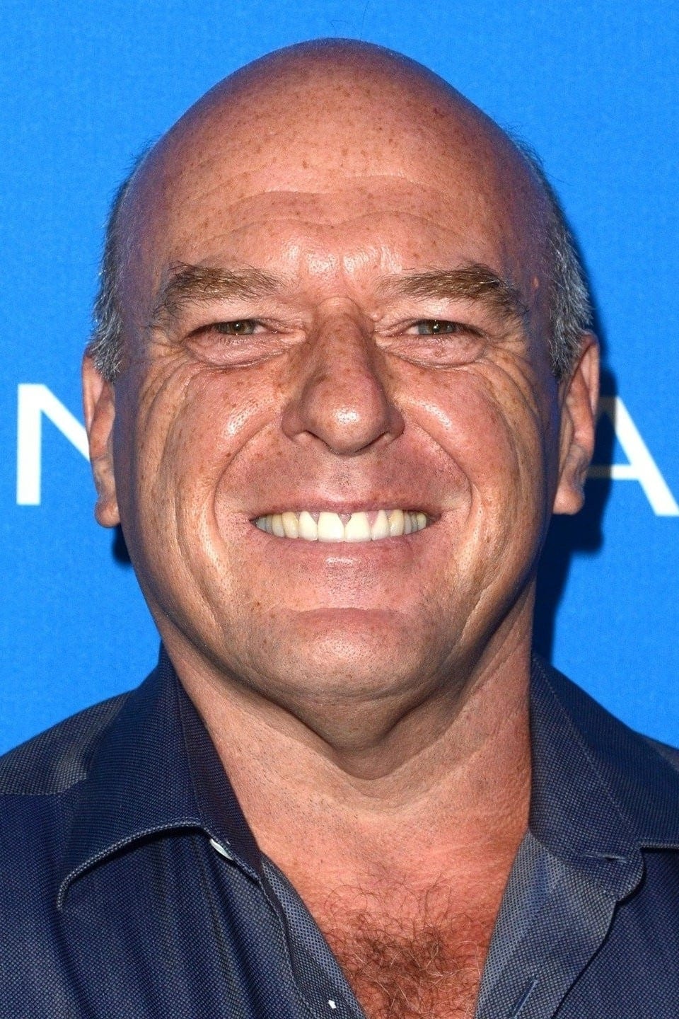 تصویر هنرمند Dean Norris