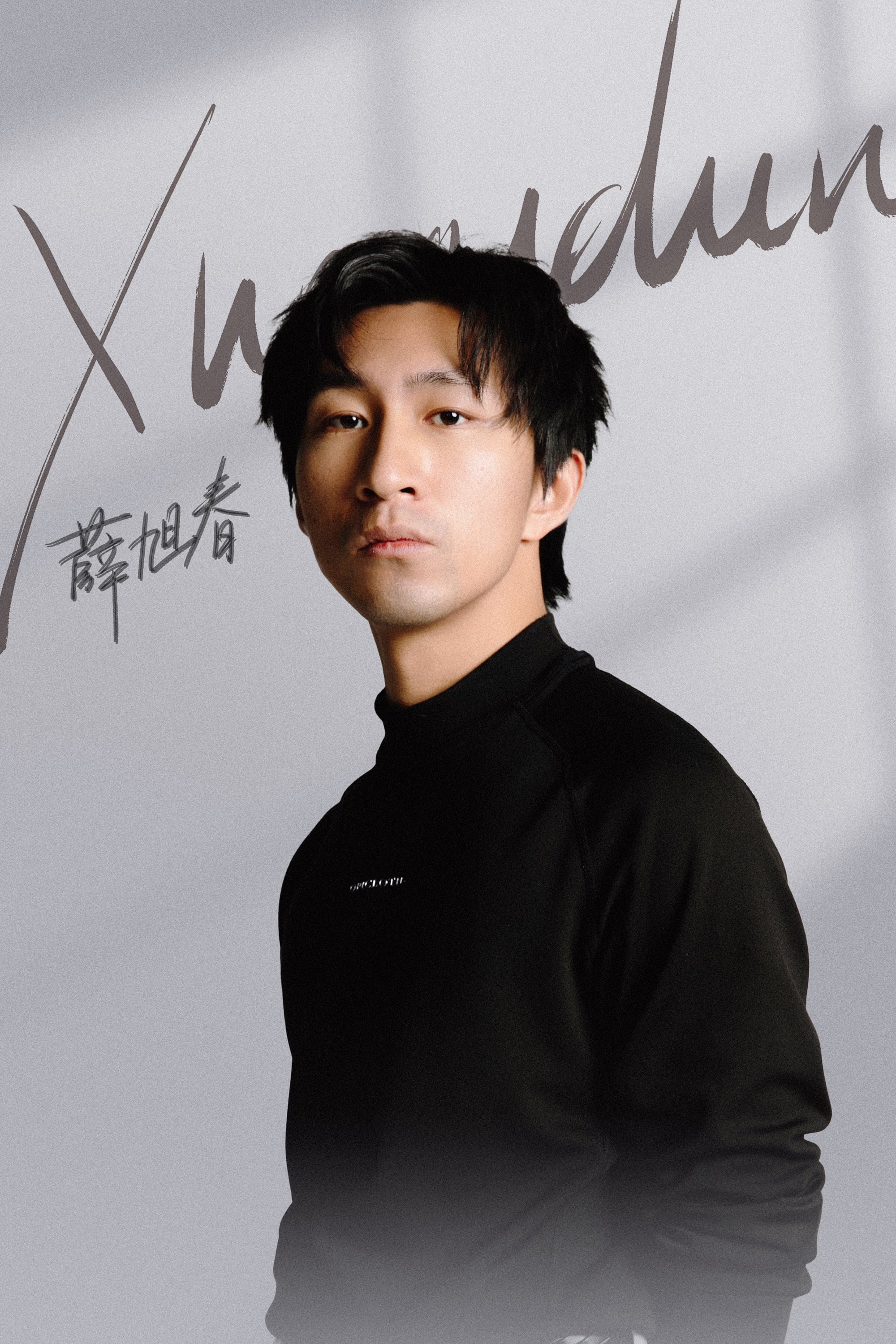 تصویر هنرمند Xue Xuchun