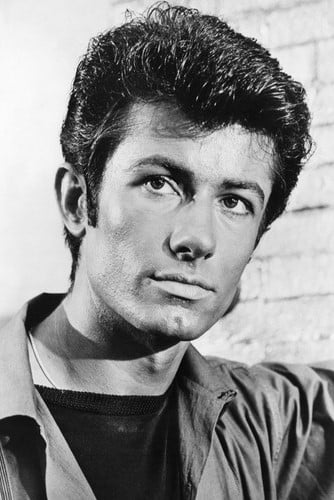 تصویر هنرمند George Chakiris