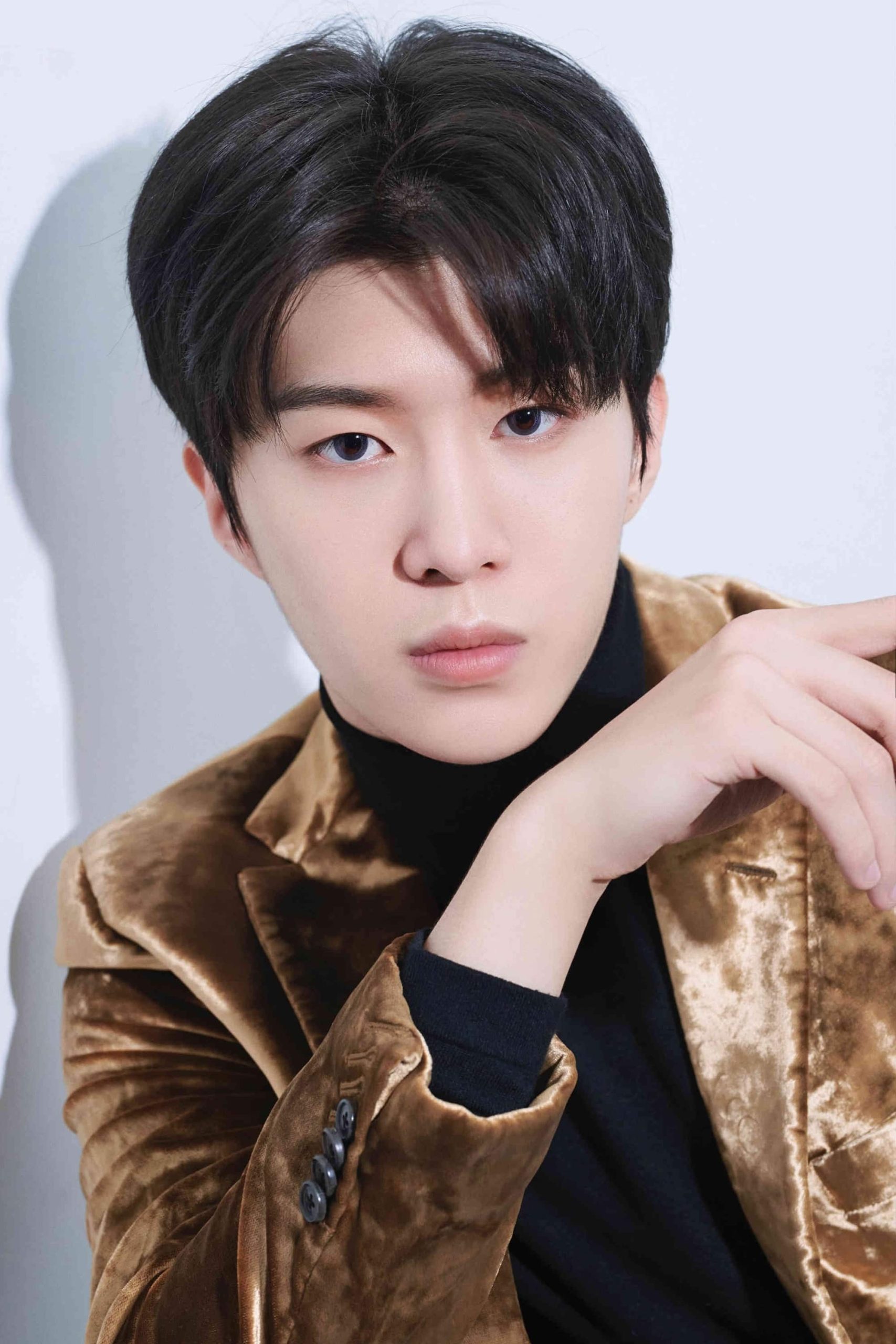 تصویر هنرمند Fan Chengcheng
