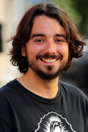 تصویر هنرمند Flavio Domenici