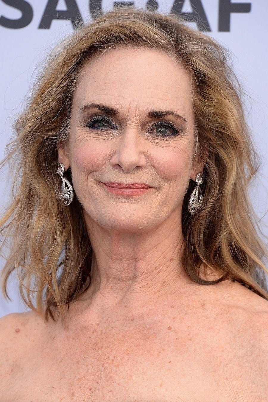 تصویر هنرمند Lisa Emery