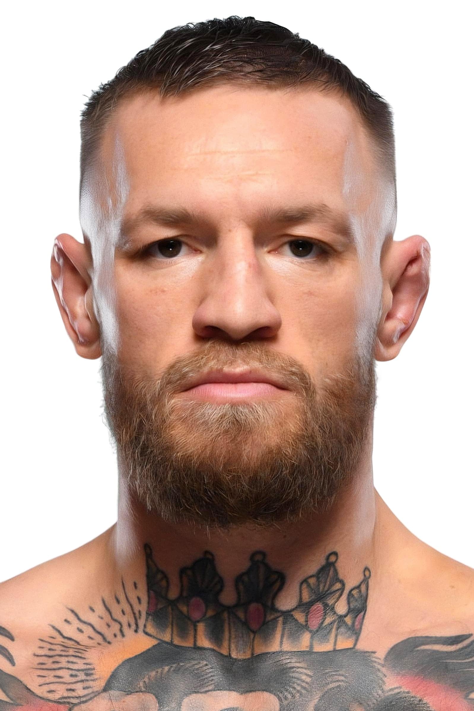 تصویر هنرمند Conor McGregor