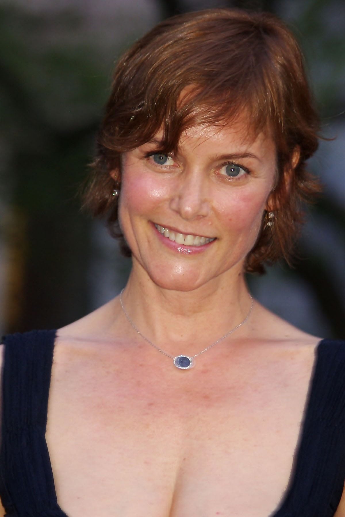 تصویر هنرمند Carey Lowell