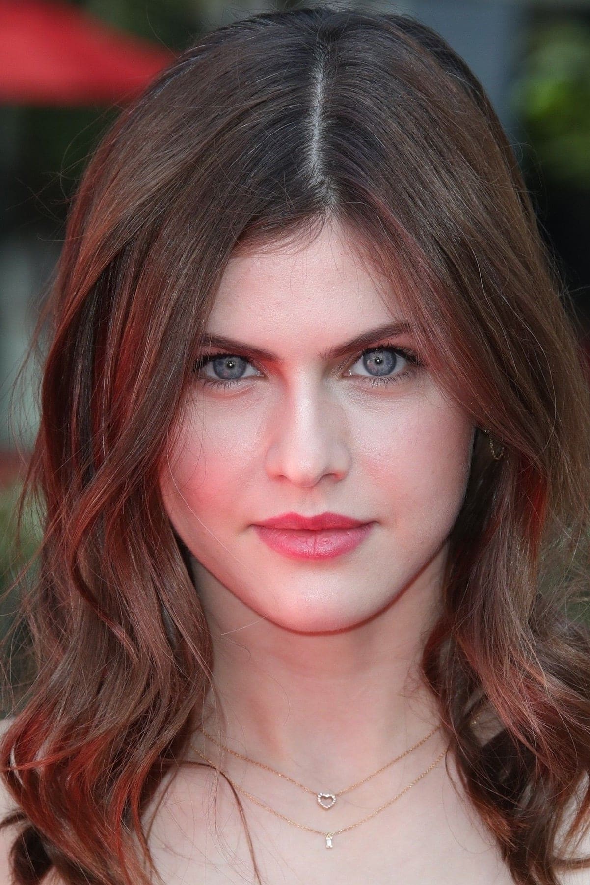 تصویر هنرمند Alexandra Daddario