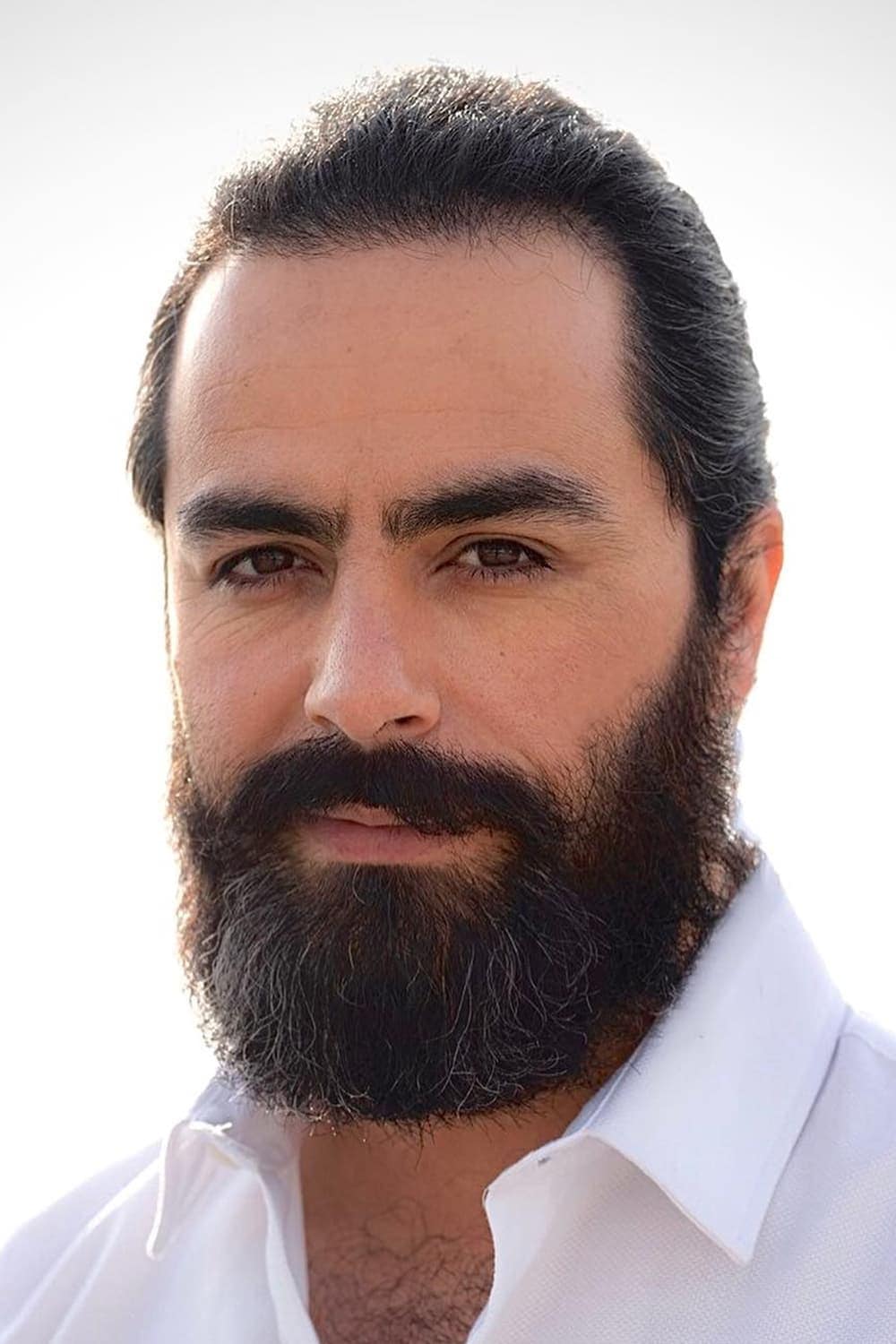 تصویر هنرمند Paeman Arianfar