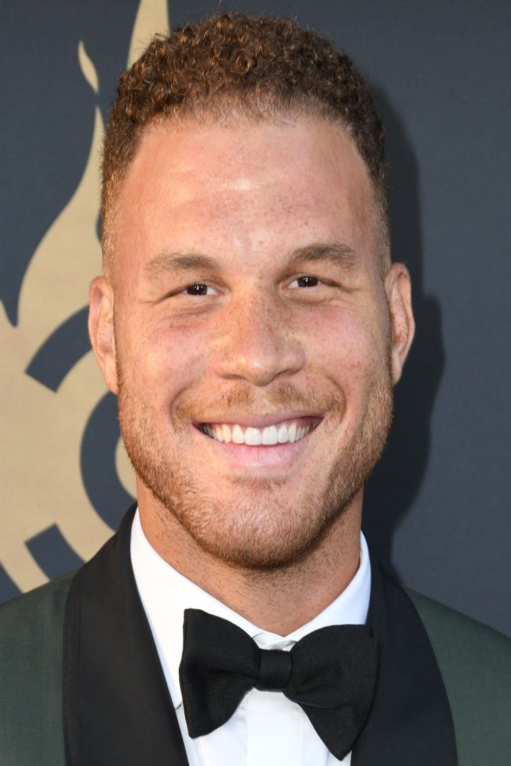 تصویر هنرمند Blake Griffin